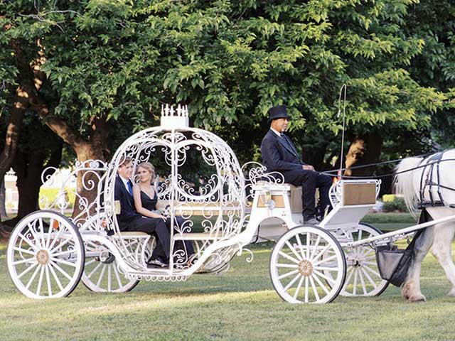 Horse-Drawn Carriage Wedding