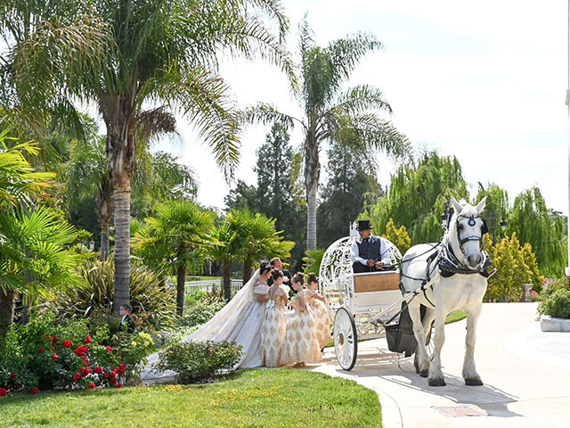 Horse-Drawn Carriage Wedding