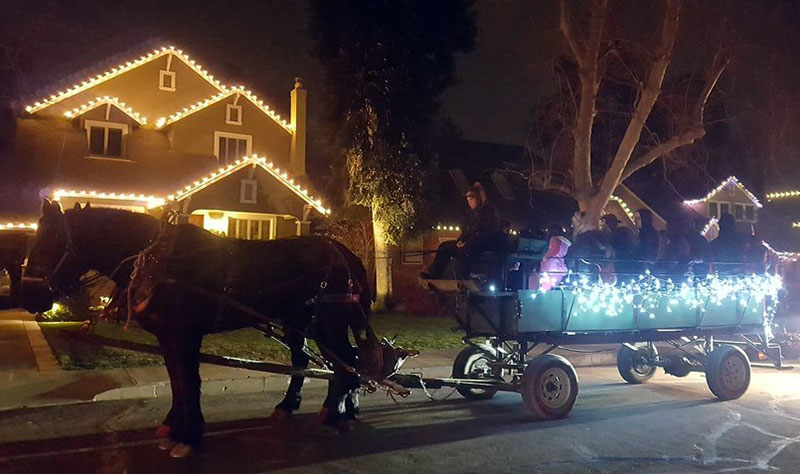 Horse-drawn Carriages and Wagons for Fab 40's Holiday Tour