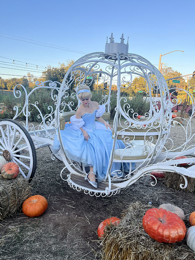 Fairytale Carriages for for Parties & Events