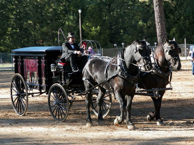 Horse-drawn Carriage Funeral