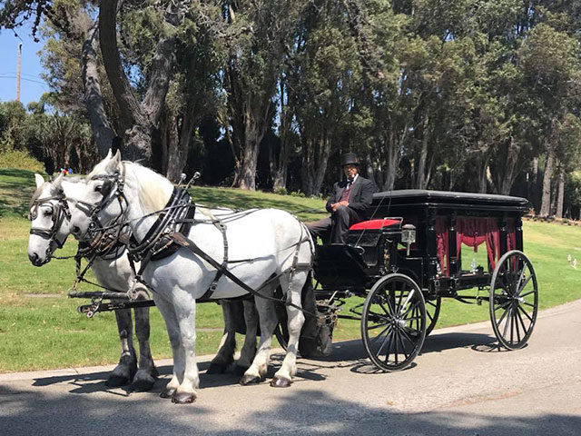 Horse-drawn Carriage Funeral