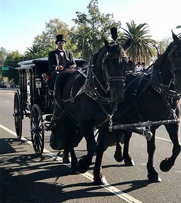 Horse-drawn Carriages for Funerals