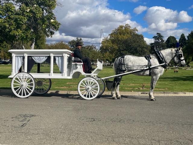 Horse-drawn Carriages for Funerals