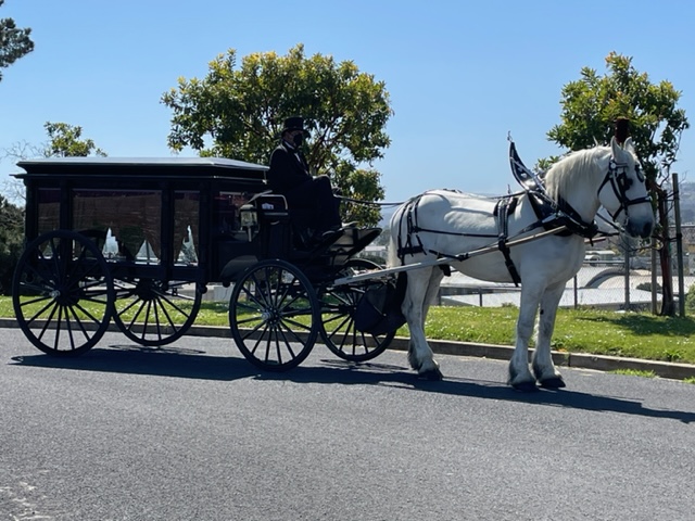 Horse-drawn Carriages for Funerals