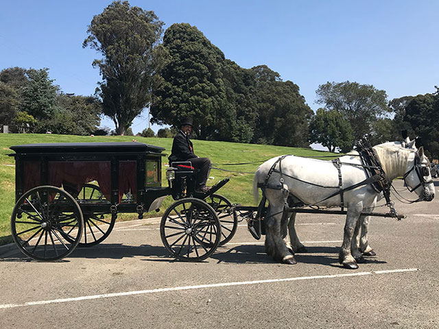 Horse-drawn Carriage Funeral