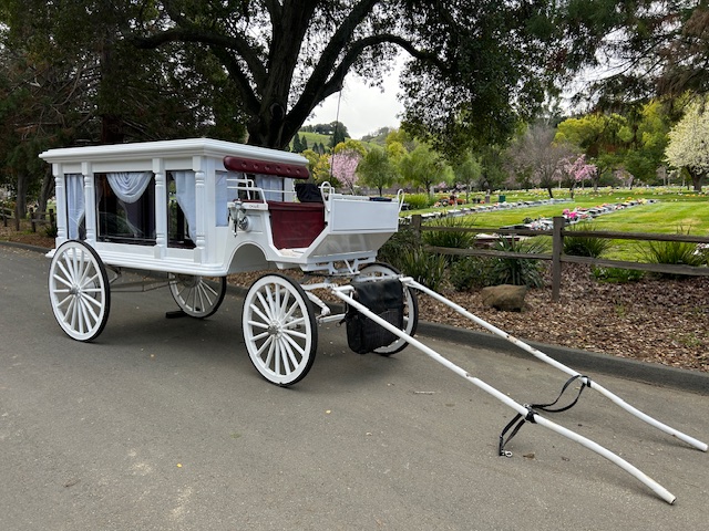 Horse-drawn Carriage Funeral