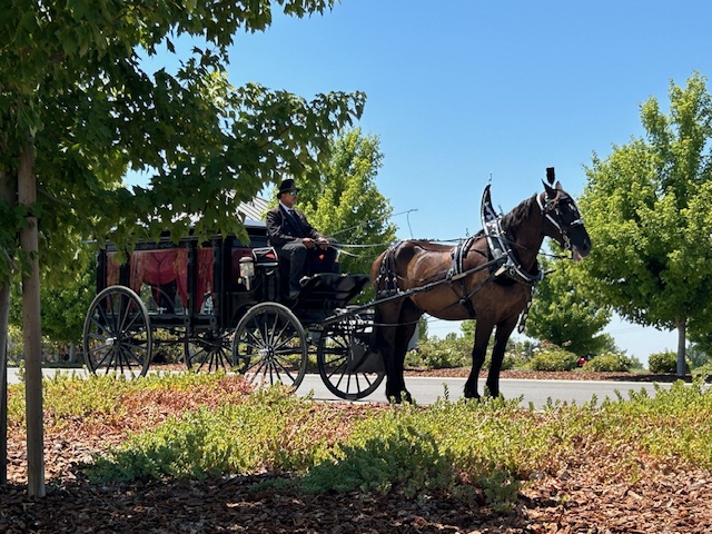 Horse-drawn Carriages for Funerals
