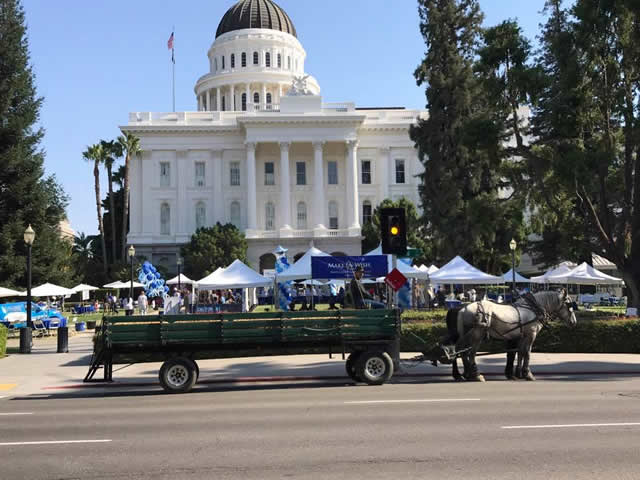 Capitol Ride