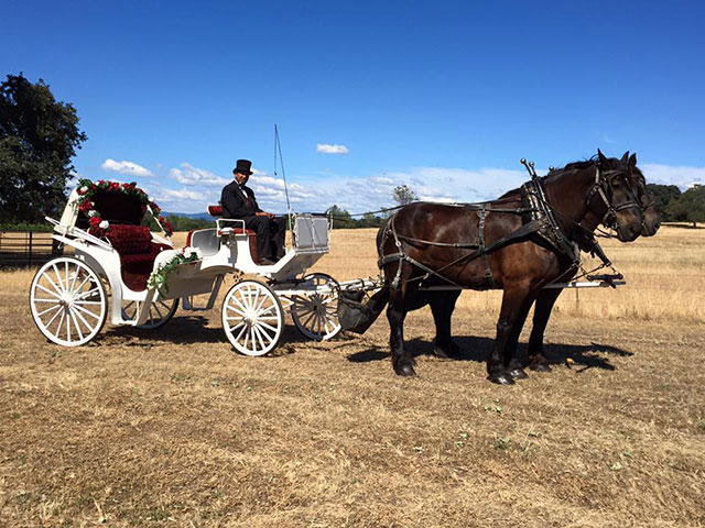 Horse-Drawn Carriage Wedding