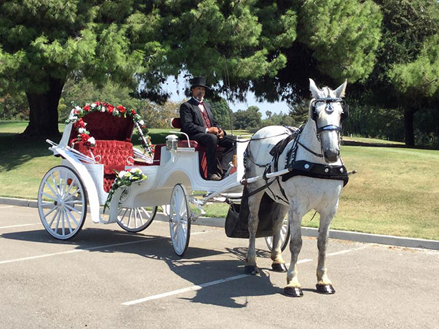 Horse-Drawn Carriage Wedding