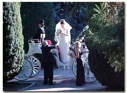 Horse-Drawn Carriages for Weddings