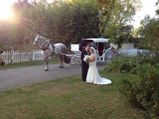 Horse-Drawn Carriage Wedding