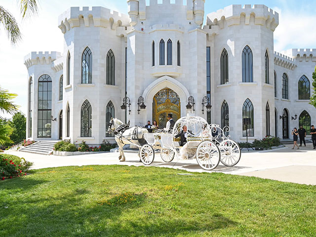 Horse-Drawn Carriages for Weddings