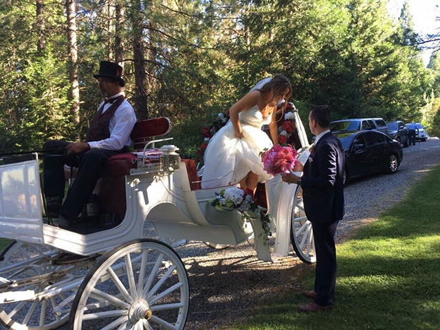 Horse-Drawn Carriage Wedding