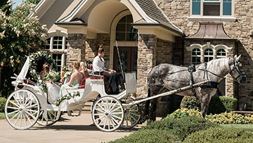 Horse-Drawn Carriages for Weddings