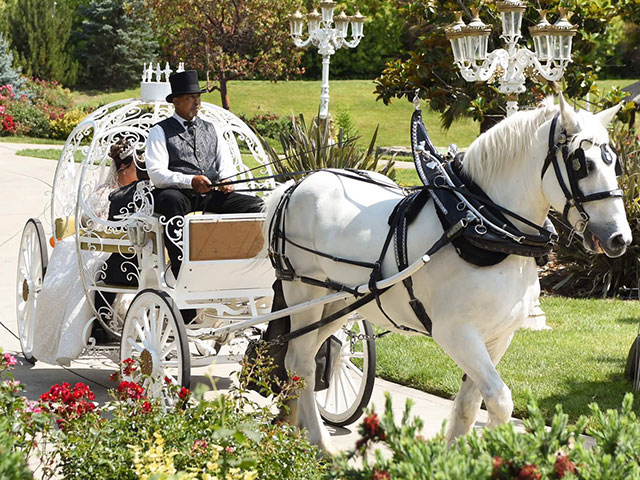 Horse-Drawn Carriage Wedding