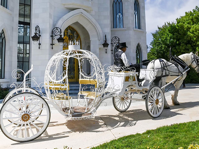 Horse-Drawn Carriage Wedding