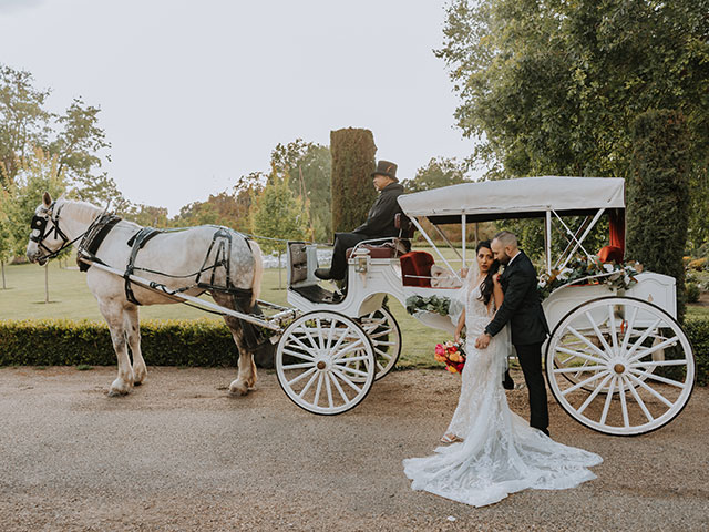 Horse-Drawn Carriage Wedding